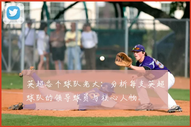 英超各个球队老大：分析每支英超球队的领导球员与核心人物。